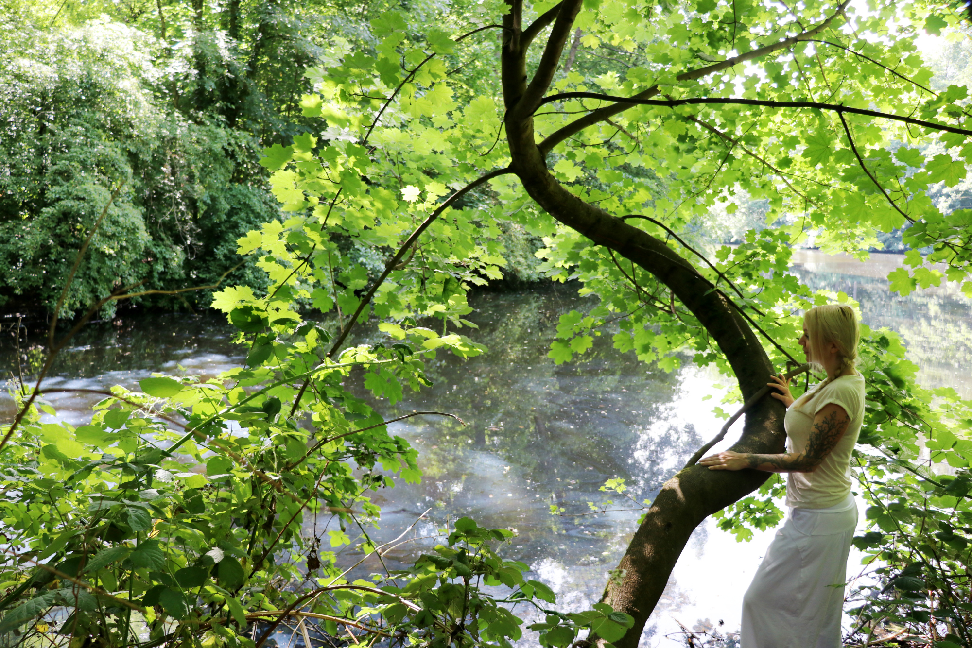Mojo Di Wald Entspannung